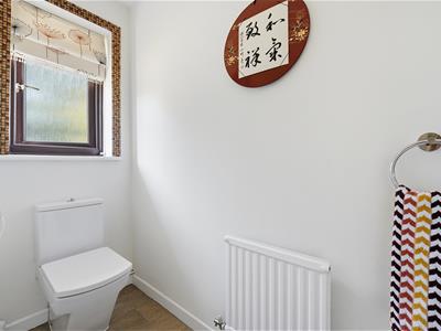Picture 17